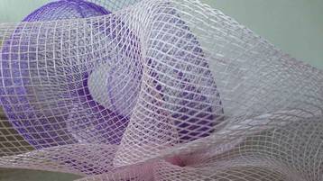 Why you should become a .NET Developer